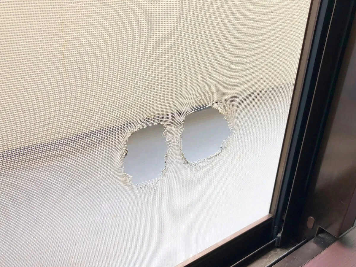 網戸の穴