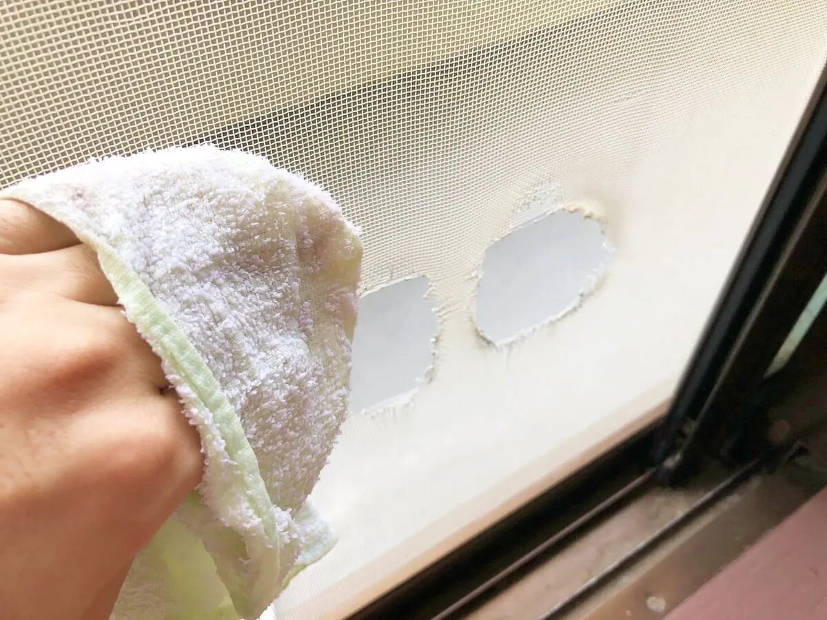 網戸を拭く