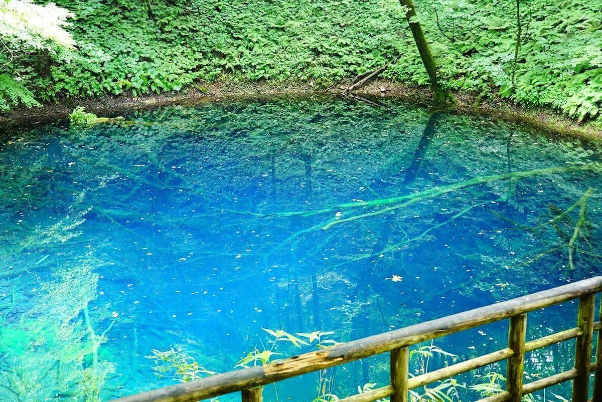 青池の写真