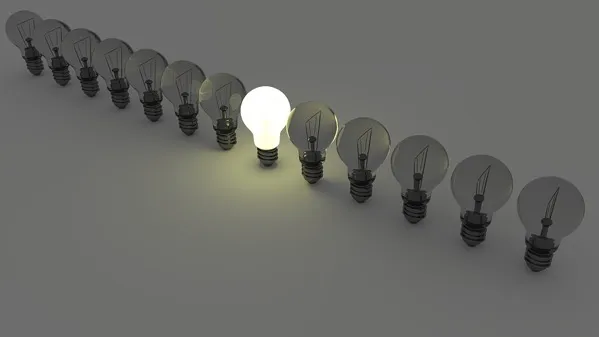 bulb.jpg Bulb