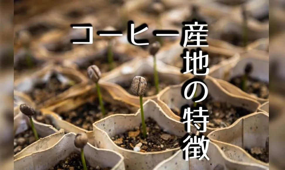 コーヒー豆の産地による特徴と味の違い、徹底解説します!