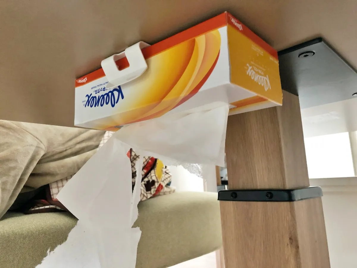 ティッシュを逆さにすると破れる