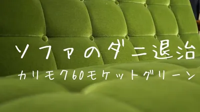ソファのダニはアイロンで退治！カリモク60モケットグリーンのソファ