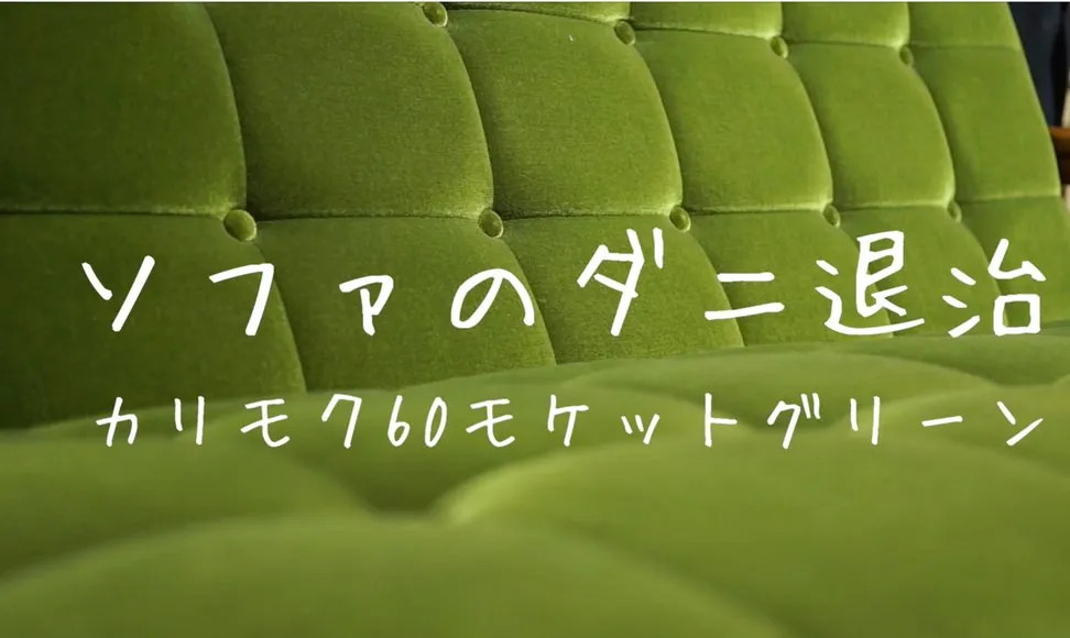 ソファのダニはアイロンで退治！カリモク60モケットグリーンのソファ