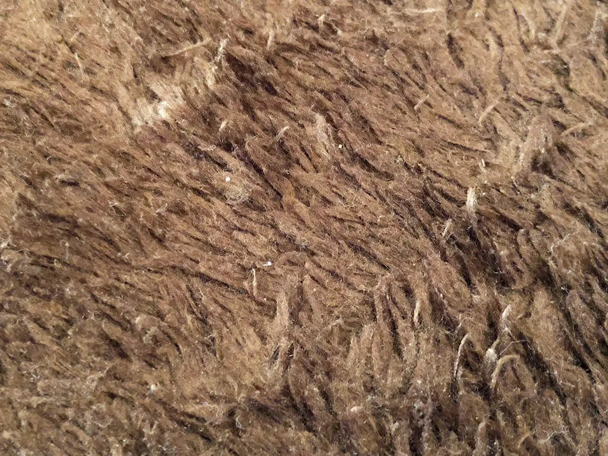 キーボードを掃除した結果でてきたゴミ