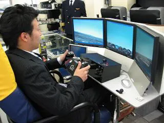sim.jpg Sim