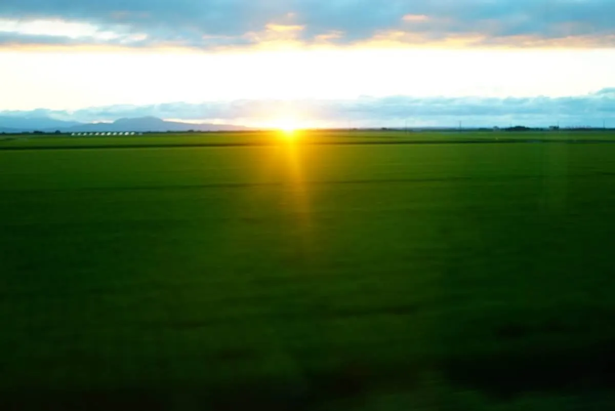 沈む太陽