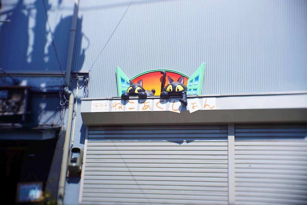 谷中銀座の猫