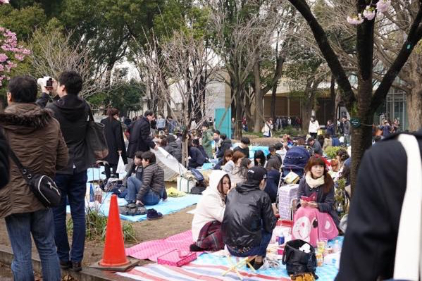 上野公園のお花見 想像以上にすごかった ムクッといこう