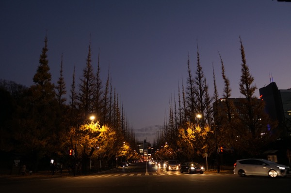 th_DSC01904