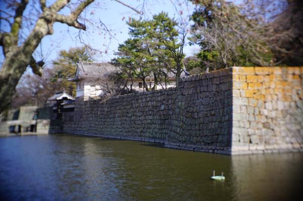 Th DSC03945