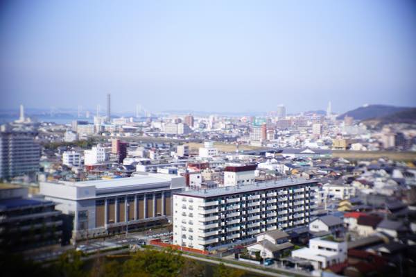 Th DSC03955