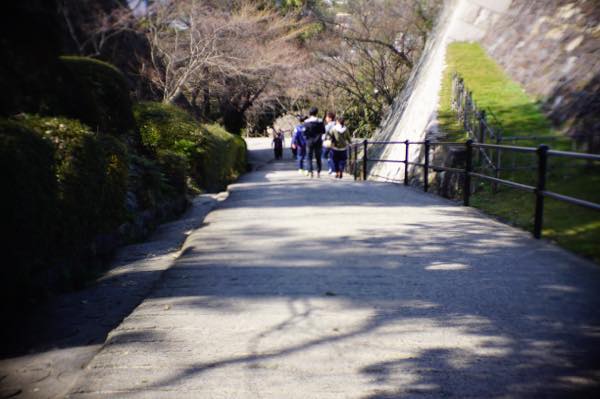 Th DSC03957