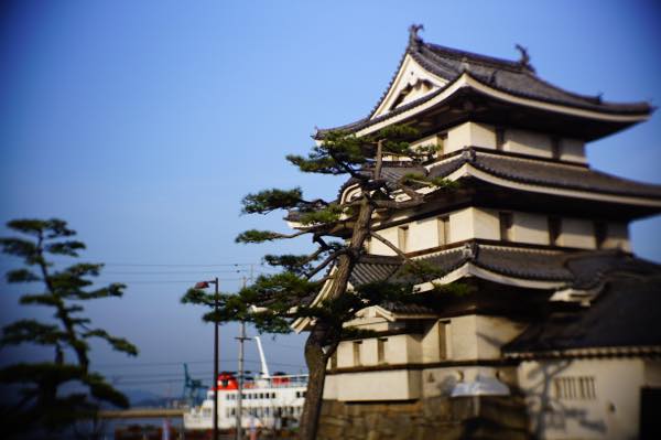 Th DSC04019