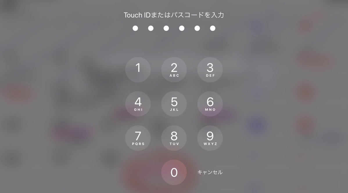 Ipadkatsuyo4